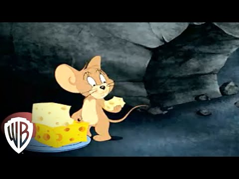 Tom and Jerry Tales Collection, Volume 2 | Watch all kinds of video in