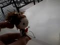 It's video tyyymmme?