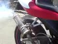 cagiva mito soundcheck shark
