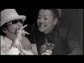 Acid Black Cherry / Black Cherry