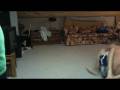videos de UFC!! 