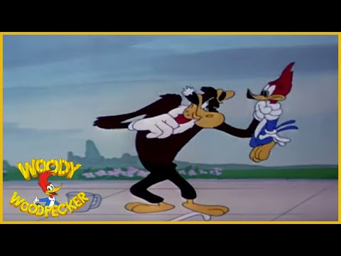 Woody Woodpecker | Droolers Delight | Full Episodes