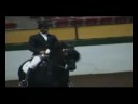 Leendert Leopold Vid part  3