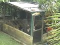 look how did the dog escape :d