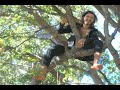 The Tree-Sit at Memorial Stadium