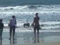 See video