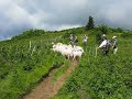 Baa-tany Project in the Roan Highlands