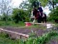 Hoppning