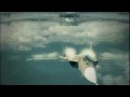 videos de Ace Combat 6 - Irrsinn SU-47 Berkut vs Agaion (Vnv Nation - Dark Angel Gabriel)) HD