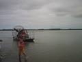 videos de Australind Airboat Run