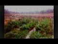 Michigan Alternative energy farms