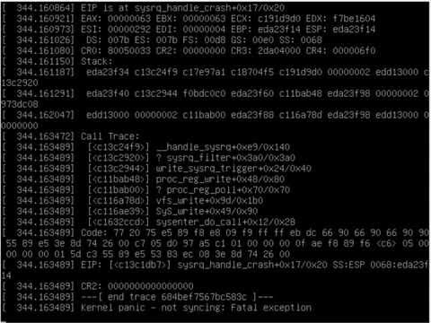 how to kernel panic linux