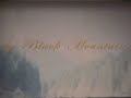 druganaut by black mountain