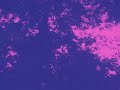 "Druganaut" by BLACK MOUNTAIN