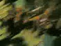 mUndo ng lagim 3plang(003)