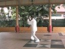 Yang Style Taijiquan