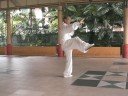 Yang Style Taijiquan