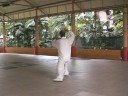 Yang Style Taijiquan