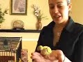 Caring for Parakeets : When to Buy a Parakeet