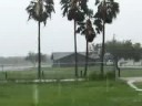 hello dolly!!! hurricane report mission texas update #2