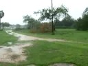 hello dolly!!! hurricane report mission texas update #2