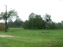 hello dolly!!! hurricane report mission texas update #2