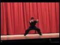 Northern Wushu Kung fu Mcall school childrens' demo