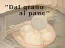 Dal grano al pane