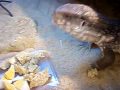 new TEGU menu