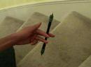 Fingerpass Fundamental