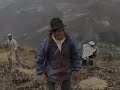 Jahuay - Música tradicional de Chimborazo, étnica, andina: Jahuay - Música tradicional de Chimborazo, étnica, andina: