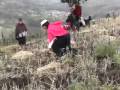 Jahuay - Música tradicional de Chimborazo, étnica, andina:
