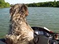 Recorded on June 16, 2008 using a Flip Video camcorder.