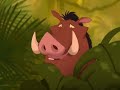 The Lion King 1 1/2 - Eating snails :D and song.... (Polish) The Lion King 1 1/2 - Eating snails :D and song.... (Polish)