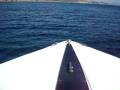 videos de Patmos speedboating Sebastian