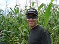 Corn Maze Corn Maze