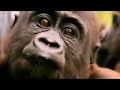 Nowy wizerunek Animal Plnet