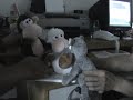 Los t�teres - Nuestragencia 2008