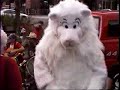 Big Cats Attack Downtown Omaha!!!