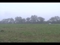 Der Junge (part 2 of 2)