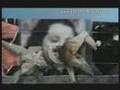 The Animation Show Of Shows - Fast Film
