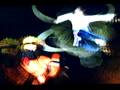videos de Naruto Shippuden Gekitou Ninja Taisen Ex 2 Opening
