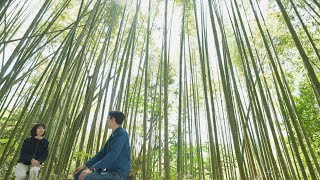 動画のサムネイル