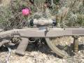 Tactical 10/22 by Nutnfancy: Great RunNGun Option!