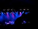 bonnaroo-2008-mgmtelectric-feel.html