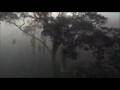 Comptine d'un autre ete : L'apres midi (Planet Earth Video)