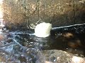 The Rotating Foam Of Doom