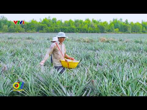 Ngành phân bón chuyển đổi xanh để bảo vệ môi trường