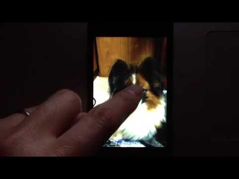 how to download photos from a camera to an ipad