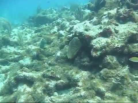 Antigua Diving Antigua Diving